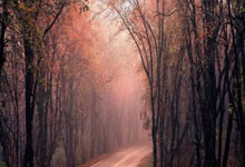 深圳情侣私享时光：温馨桑拿图赏