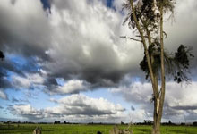深圳福田品茗好去处，茶香四溢的隐秘网点揭晓