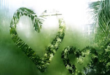 深圳璀璨夜色，探秘繁华不夜城